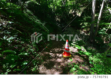 岩手県の重茂半島線、魹ヶ崎の風景 75740791