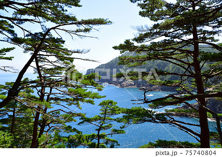 岩手県の重茂半島線、魹ヶ崎の風景 岩手県の重茂半島線、魹ヶ崎の風景 75740804