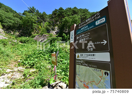 岩手県の重茂半島線、魹ヶ崎の風景 岩手県の重茂半島線、魹ヶ崎の風景 75740809
