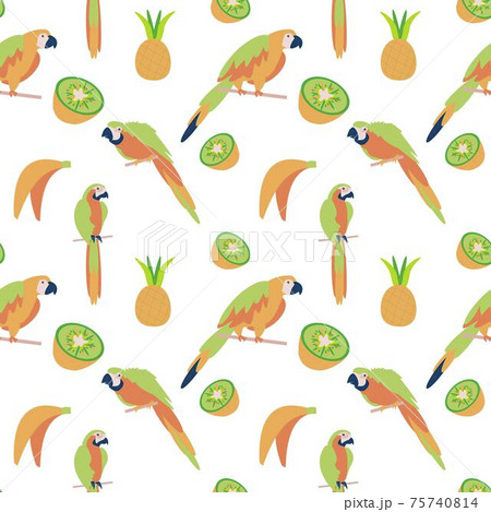 Seamless pattern with parrot, banana and kiwi on white background Flat illustration 75740814