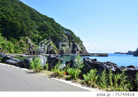 岩手県の重茂半島線、魹ヶ崎の風景 75740818