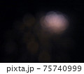 花火 75740999