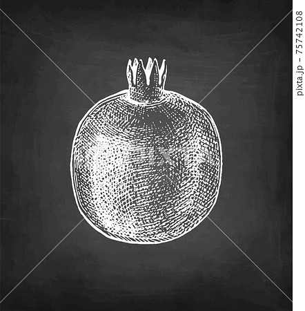 Pomegranate chalk sketch. 75742108