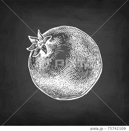 Pomegranate chalk sketch. 75742109