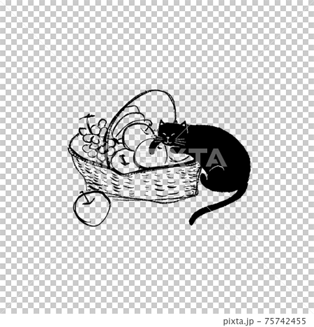 果物かごに猫のイラスト素材 [75742455] - PIXTA