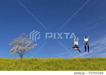菜の花と桜の咲く土手でジャンプをする男女の高校生。春、入学、お祝い,卒業,合格イメージ 75743168