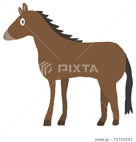 馬のキャラクターのイラスト素材 [75743501] - PIXTA