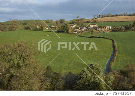 Winter in the Cotswolds 75743617