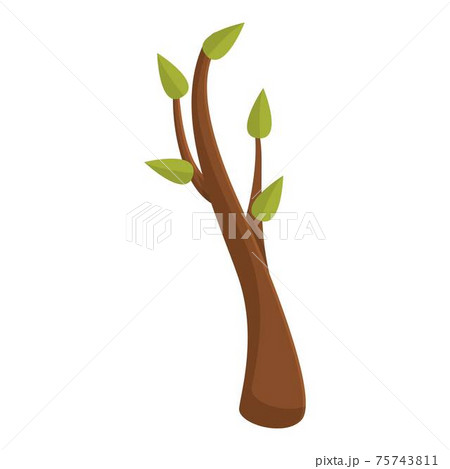 Green leafs tree branch icon, cartoon style Green leafs tree branch icon, cartoon style 75743811