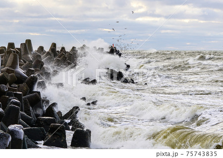 Stormy Baltic sea, port entrance breakwater, Liepaja, Latvia 75743835