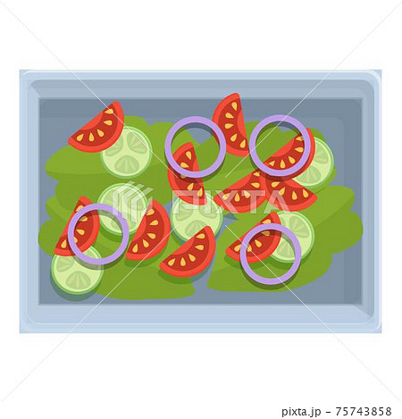 Fresh tomato salad food airline icon, cartoon style Fresh tomato salad food airline icon, cartoon style 75743858