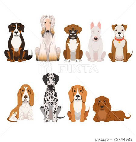 Different breeds of dog. Group of domestic animals in cartoon style. illustrations set 75744935