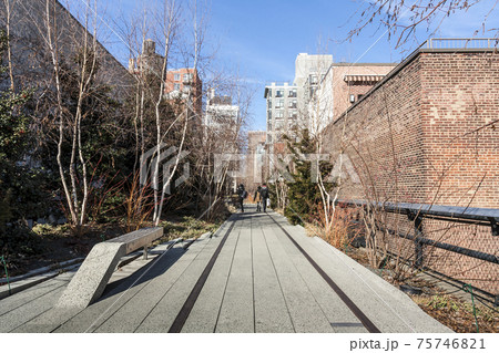 The Highline in New York City 75746821