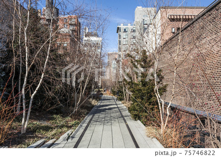 The Highline in New York City 75746822