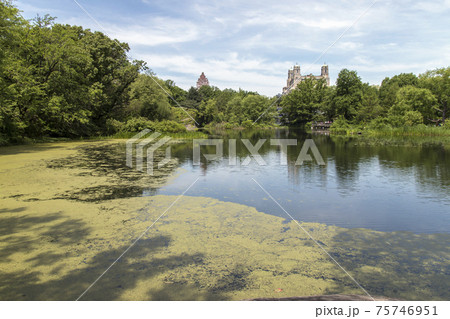 Pond at Central Park in New York City Pond at Central Park in New York City 75746951