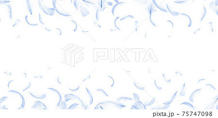 Feather fly. Nature abstract bird feather texture closeup isolated on white background for pattern wallpaper. Elegant expressive artistic image fragility of nature. Feather fly. Nature abstract bird feather texture closeup isolated on white background for pattern wallpaper. Elegant expressive artistic image fragility of nature. 75747098