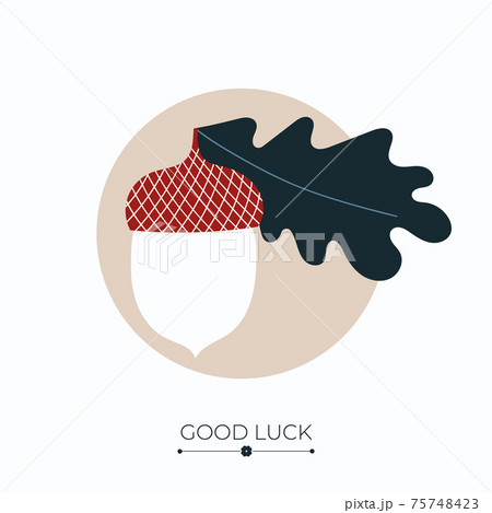 Acorn lucky charm 75748423