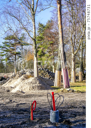 Tree trunks on a construction site covered with boards to protect them from damage 75748731