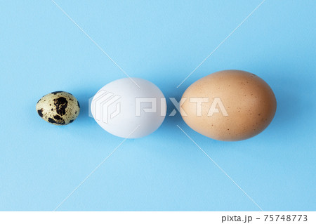 Three type of different birds eggs isolated on blue paper background. Various size and kind choice concept. Quail, egg and turkey eggs nutrients comparison. Segregation and equlty Three type of different birds eggs isolated on blue paper background. Various size and kind choice concept. Quail, egg and turkey eggs nutrients comparison. Segregation and equlty 75748773