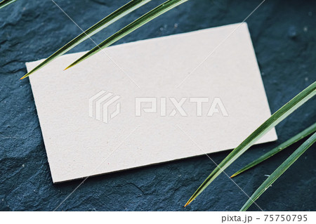 White business card flatlay on dark stone background and green exotic leaf, luxury branding flat lay and brand identity design for mockup 75750795