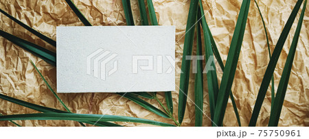 White business card flatlay on brown parchment paper background and green exotic leaf, luxury branding flat lay and brand identity design for mockup 75750961