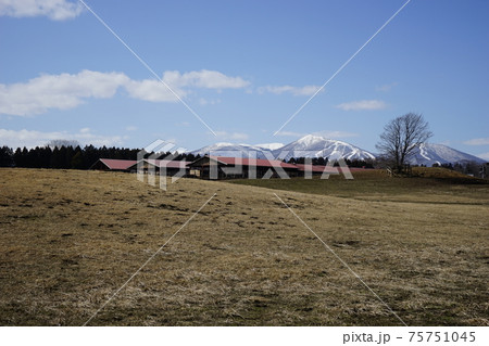 小岩井農場から見える岩手山 75751045