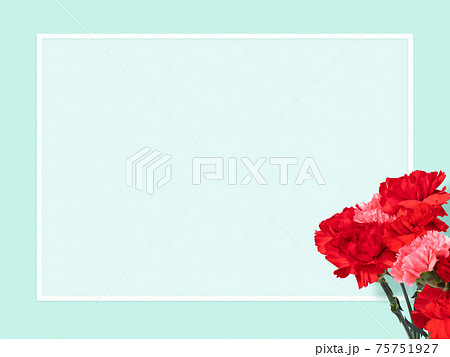 カーネーションと水色の背景 複数のバリエーションがありますのイラスト素材