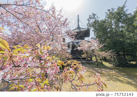 清凉寺 清凉寺 75752143