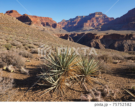 Grand Canyon National Park, Arizona. Grand Canyon National Park, Arizona. 75752582