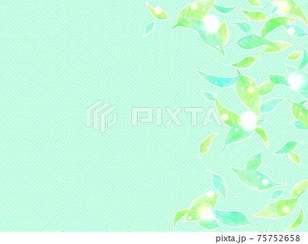 新緑の葉っぱのイラストフレーム 新緑の葉っぱのイラストフレーム 75752658