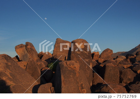 Hohokam petroglyphs of Saguaro National Park, Arizona. 75752769