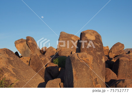 Hohokam petroglyphs of Saguaro National Park, Arizona. 75752777