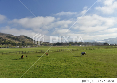 春の牧場 75753078