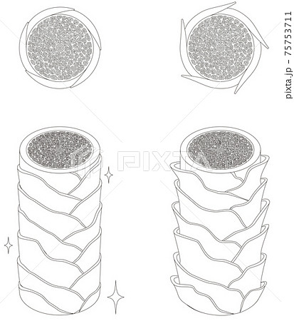 Hair cross section 4_2 No commentary Hair cross section 4_2 No commentary 75753711