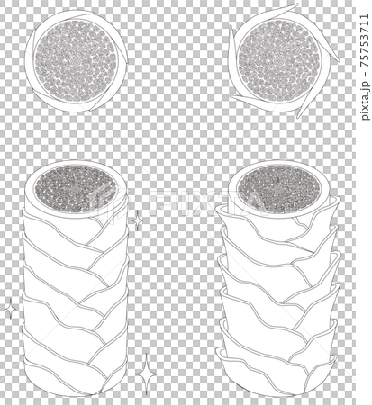 Hair cross section 4_2 No commentary Hair cross section 4_2 No commentary 75753711