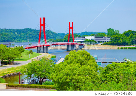 北潟湖のアイリスブリッジ　福井県あわら市にて 75754230