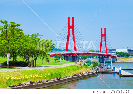 北潟湖のアイリスブリッジ 福井県あわら市にて 北潟湖のアイリスブリッジ 福井県あわら市にて 75754231