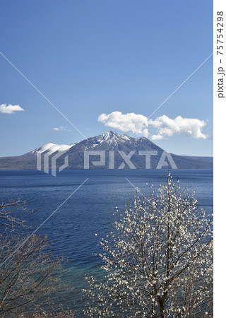 早春の支笏湖 75754298