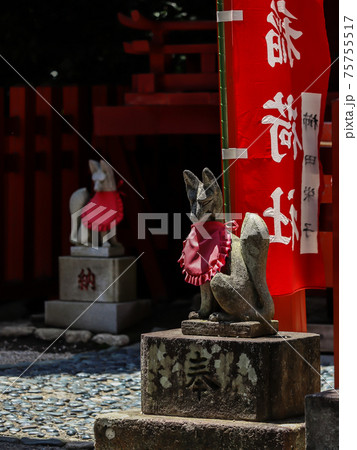 鶴岡八幡宮 丸山稲荷社 鶴岡八幡宮 丸山稲荷社 75755517