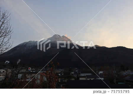 冠雪の由布岳 冠雪の由布岳 75755795