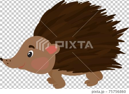 Vector illustration of smiling hedgehog. Isolated on white. Cute cartoon character Vector illustration of smiling hedgehog. Isolated on white. Cute cartoon character 75756860