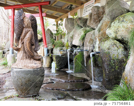 立岩水源　水汲み場から流れる豊富な水 75756861