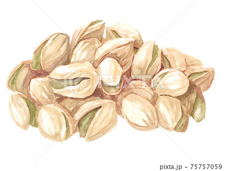 山盛りのピスタチオ　水彩素材 75757059
