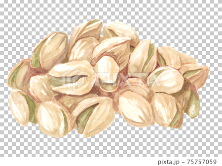 Heaping pistachio watercolor material 75757059