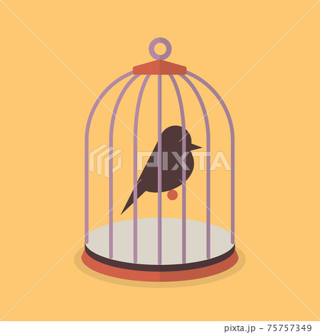 Bird in bird cage Bird in bird cage 75757349