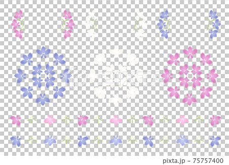 ロベリア 75757400
