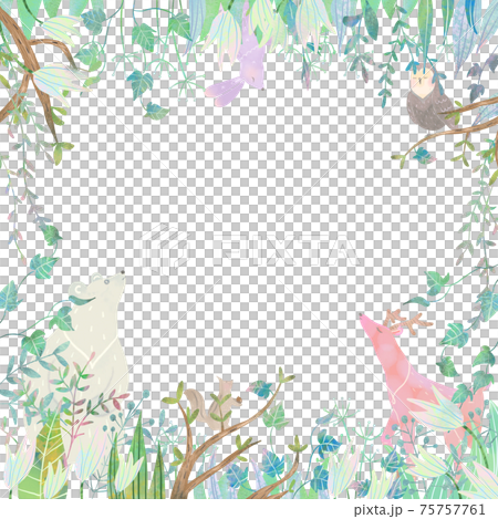 Scandinavian fashionable frame illustration vector material of cute animals and plants in the forest Scandinavian fashionable frame illustration vector material of cute animals and plants in the forest 75757761