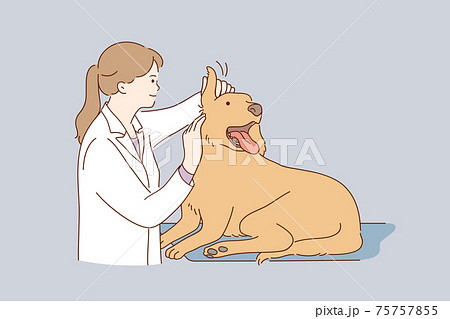 Veterinarian doctor during work concept 75757855