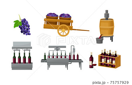 Grape Wine Production with Alcoholic Fermentation and Pouring in Bottles Process Vector Set 75757929