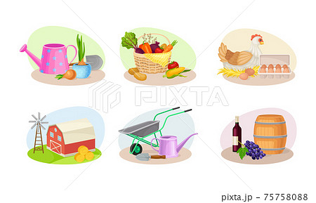 Farming Composition with Agricultural Crops and Farming Inventory Vector Set 75758088